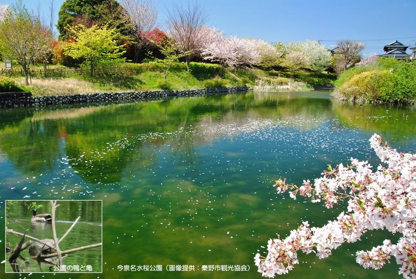 「おいしい秦野の水　丹沢の雫」紹介【食のコラム】